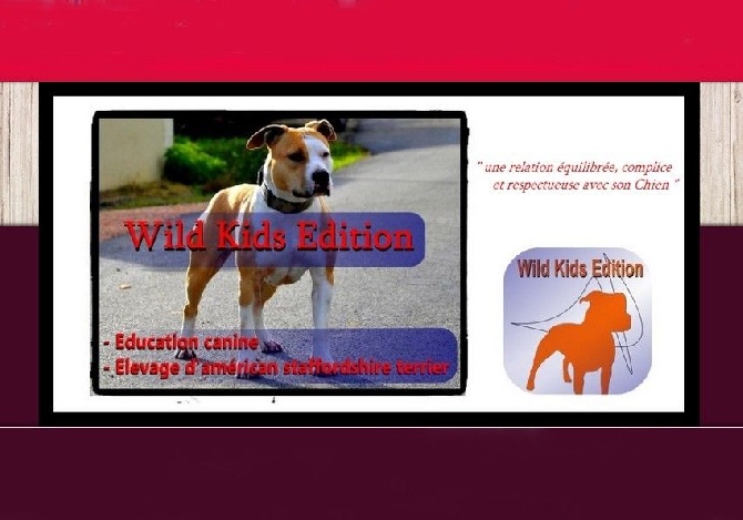 Wild Kids Edition - Education 